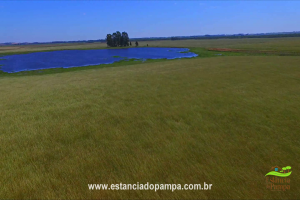 800 Hectares.00_03_57_03.Quadro024_3fa8c9ac981ca7959c5c04e367c3ce9c0a3e2ef4.png